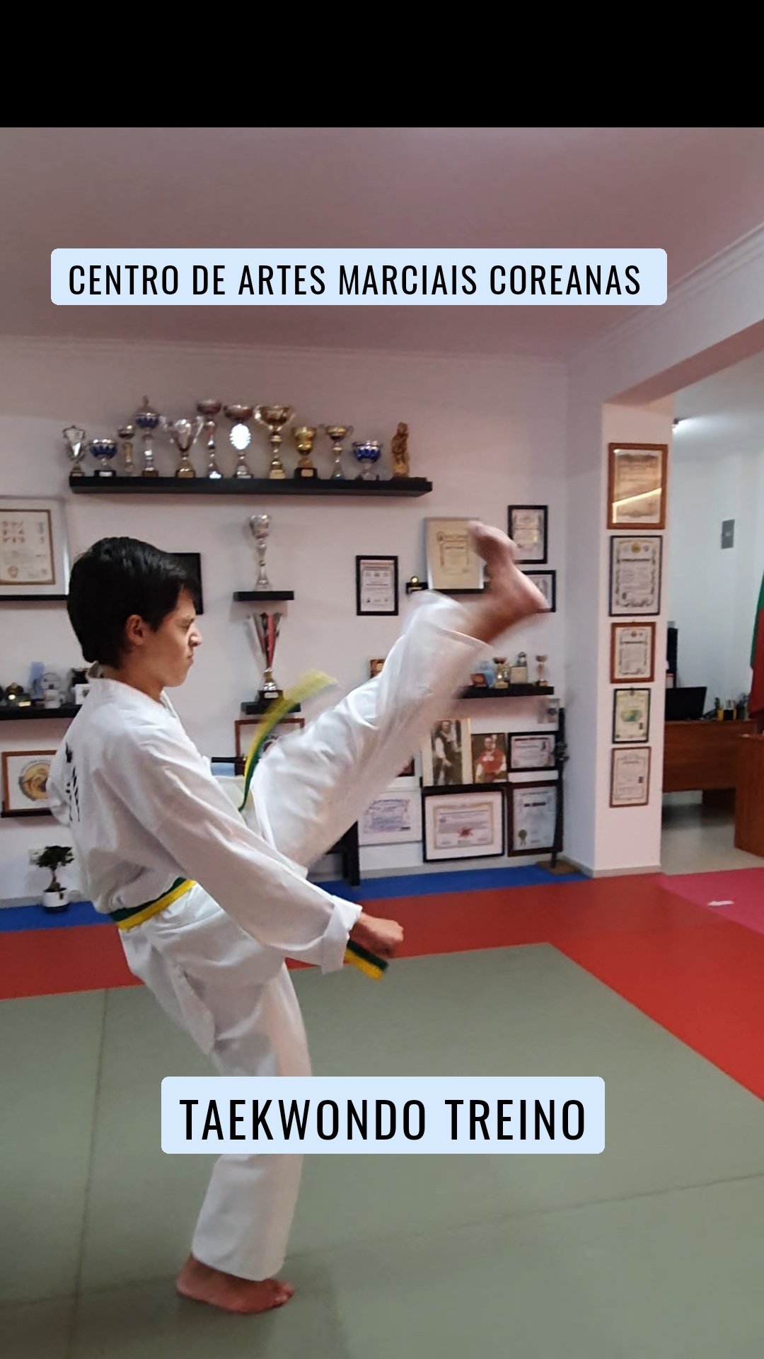 Centro de Artes Marciais Coreanas  Taekwondo treino